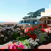 host-img Francesco Doe1494997801